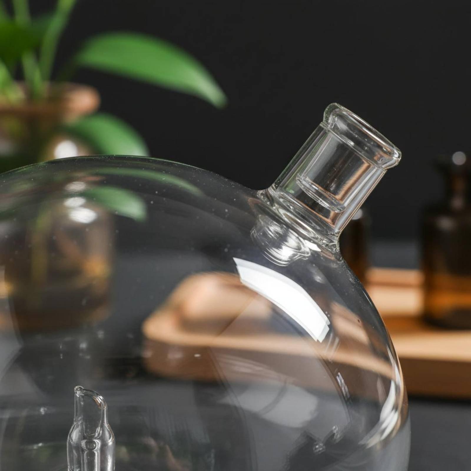 디퓨저 병 물이 없는 향수 디퓨저용 유니버설 핏 유리  - Home Fragrance Diffuser 리뷰 및 가격